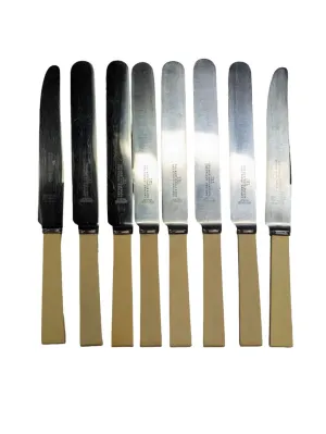 Knife Set with Faux Bone Handles by Sheffield